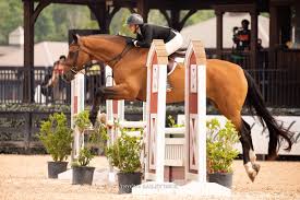 Image result for Fisher Equestrian