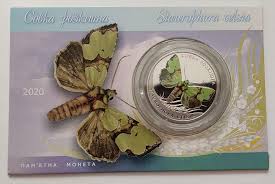 Attēlu rezultāti vaicājumam “Staurophora celsia”