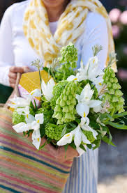 Attēlu rezultāti vaicājumam “Alchemilla subcrenata  flower”