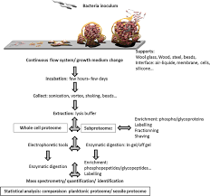 Image result for pfanzelt tehron