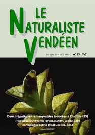 Attēlu rezultāti vaicājumam “Tritomaria exsectiformis”