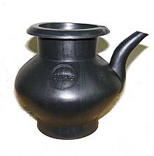 Image result for Lota lota