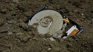 Картинки по запросу белку зажевало в диск