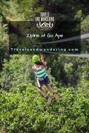 Image result for Go Ape! Whinlatter