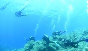 Image result for Teddington Sub-Aqua Club