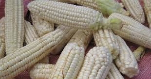 Image result for Mais