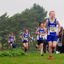 Image result for Ampthill and Flitwick Flyers