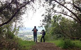 Attēlu rezultāti vaicājumam “Licea pusilla young”