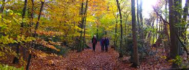 Image result for Mid Surrey Ramblers