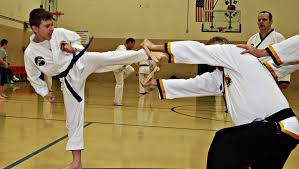 Image result for Chichester Tae Kwon Do