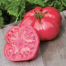 Afbeeldingsresultaat voor caspian pink tomato
