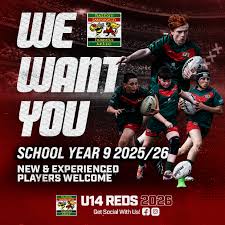 Image result for Halton Farnworth Hornets A R L F C