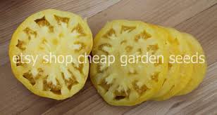 Afbeeldingsresultaat voor cabin tomato