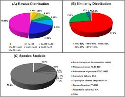 Attēlu rezultāti vaicājumam “Didymium bahiense stalked”