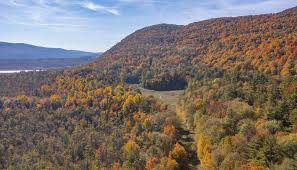 Image result for Ancestral Mountains