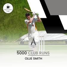 Image result for Aldwick Cricket Club