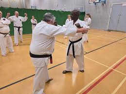 Image result for Worcester and Pershore Shukokai