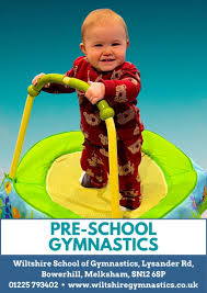 Image result for Wiltshire School Of Gym