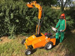 Image result for coupeco tehron