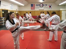Image result for Bytomic Tae Kwon Do Windsor