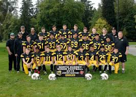 Image result for Elite Football Surrey