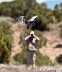 Image result for Ingarfield Condor Team