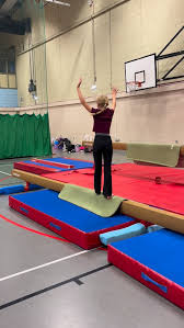 Image result for North East London Gymnastics Club