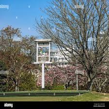 Image result for Plymouth (Sir Francis Drake) Bowling Club