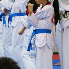 Image result for COMBAT TAEKWONDO