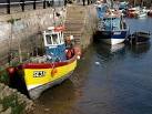 The colourful "Crustacean" is - via Daymix