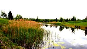 Image result for Bondhay Golf Club