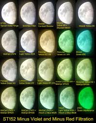 Attēlu rezultāti vaicājumam “Didymium minus young”