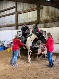 Image result for Riding For The Disabled Association