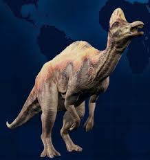 Bildergebnis für corythosaurus