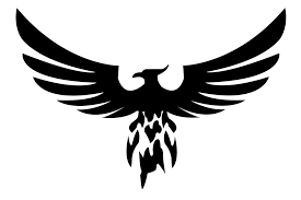 Image result for Wilmslow Lacrosse Club