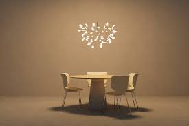 Attēlu rezultāti vaicājumam “Heracleum”