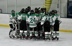 Image result for York University Street Hockey Club