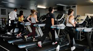 Image result for Notts Bigwood Gym Club