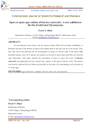 Attēlu rezultāti vaicājumam “Diachea subsessilis stalked”