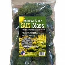 Attēlu rezultāti vaicājumam “Bryum caespiticium”