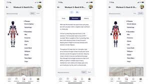 Image result for Calibre Performance Coaching