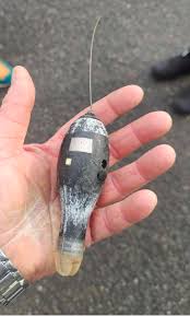 Image result for Isle of Man Octopush Club