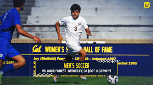 Image result for Breckland Forest Gymnastics Club 2004