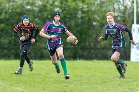 Image result for Farnborough Rfc Minis & Juniors