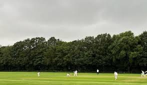 Image result for Paignton Cc
