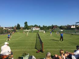 Image result for Dorking Lawn Tennis Club