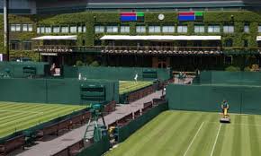 Image result for Wimbledon Cricket Club