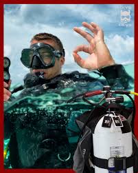 Image result for S England Dive Devil