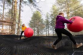 Image result for Go Ape! Alice Holt