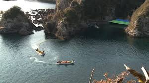Image result for japan dolphin slaughter